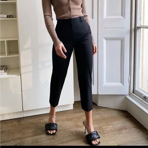 Aritzia Babaton Classic Trouser